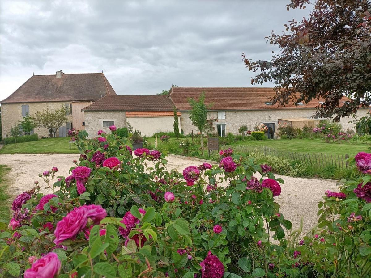 La Grange Des Anges Villa Blanc  ภายนอก รูปภาพ