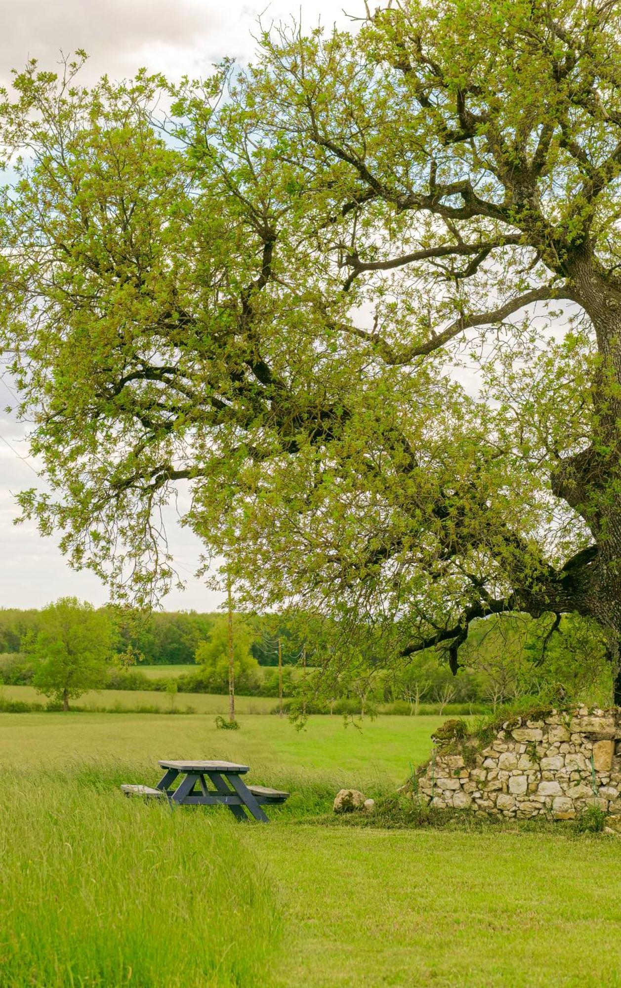 La Grange Des Anges Villa Blanc  ภายนอก รูปภาพ